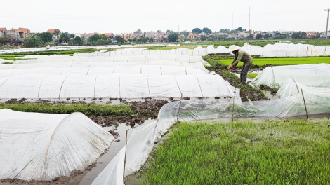 Apêê vel đong đương zêl cha groong cha kệêt đoọng ha chr’nóh, bh’năn băn