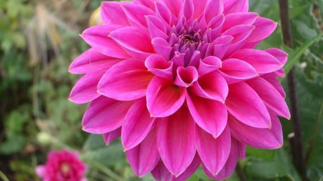 T’RÚIH T’NGAY 2/10/2019