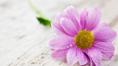 T'RUIH T'NGAY 3/12/2019