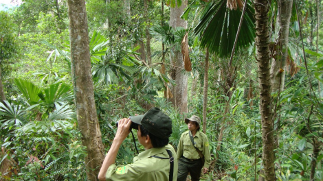 Zư lêy crâng g’lúh tết nguyên đán
