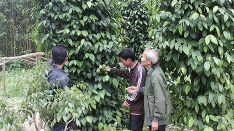 Mưy chr’val mưy bh’nơơn pr’đươi, tơợp bhrợ cha tơợ ha rêê đhuốch