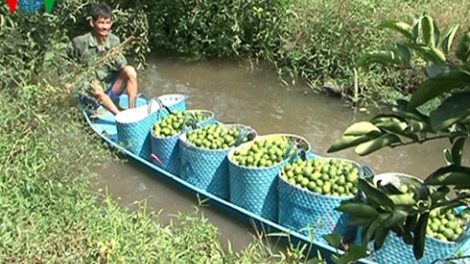 Đhanuôr Hậu Giang lâng bh’rợ chóh chanh cắh ma cr’liêng âng đơơng bh’nơơn bấc.