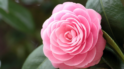 T’RUIH T’NGAY 28/5/2022