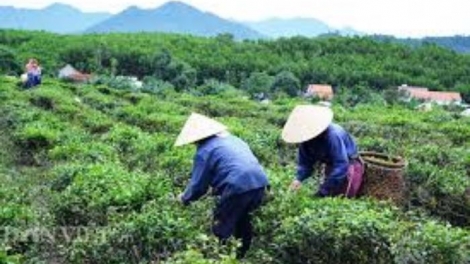 Đông Giang zúp zooi apêê cr’nhăng bhrợ pa dưr chr’nắp chr’nóh chr’bệêt vel bhươl