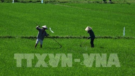 Thừa Thiên-Huế gung dưr padưr pa’xớc nông nghiệp công nghệ dal