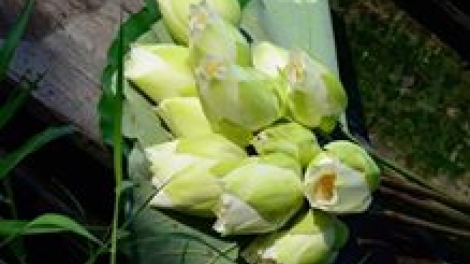 T'RUIH PHÁT THANH T'NGAY 13/1