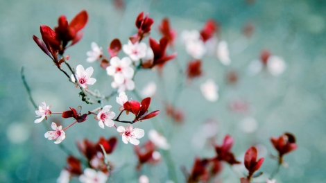 T'RUIH PHÁT THANH T'NGAY 25/1