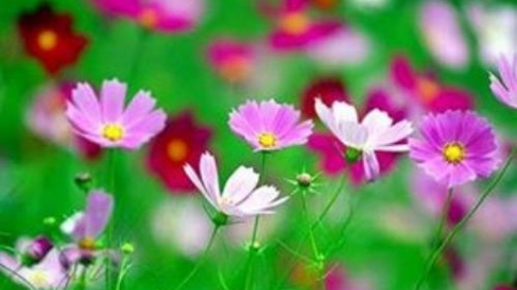 T'RUIH PA XUL T'NGAY 23/12/2017