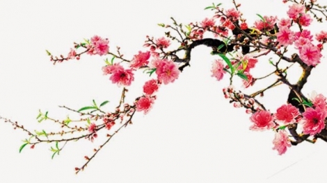 T'RUIH PHÁT THANH T'NGAY 20/1