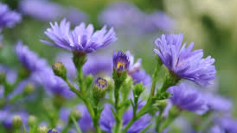 T'RUIH PHÁT THANH T'NGAY 28/4/2017