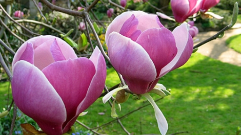 T'RUIH PHÁT THANH T'NGAY 01/4/2017