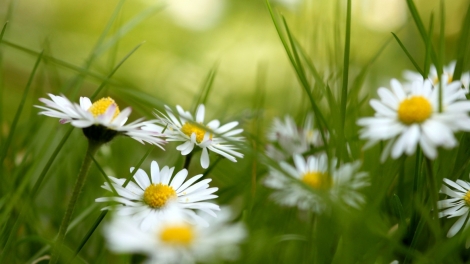 T'RUIH PHÁT THANH T'NGAY 24/4/2017