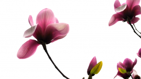 T'RUIH PHÁT THANH T'NGAY 09/4/2017