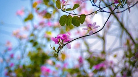 T'RUIH PHÁT THANH T'NGAY 09/5/2017