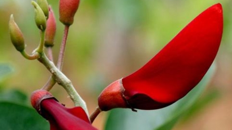 T'RUIH PHÁT THANH T'NGAY 03/5/2017