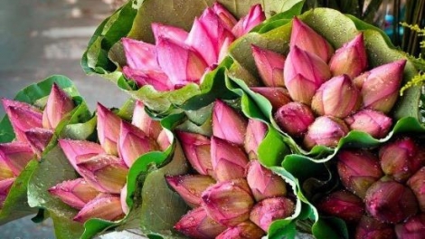 T'RUIH PAXUL T'NGAY 31/8/2017