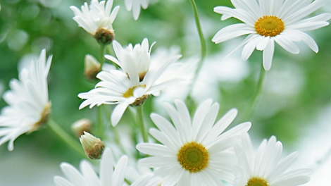 T'RUIH PHÁT THANH T'NGAY 01/5/2017