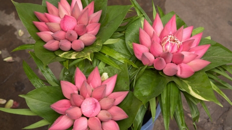 T'RUIH PHÁT THANH T'NGAY 17/6/2017