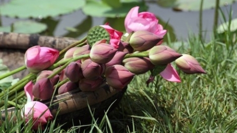 T'RUIH PHÁT THANH T'NGAY 30/6/2017