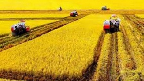 Đoọng đhanuôr kiêng ting xay bhrợ lâng Hợp tác xã