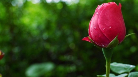 T'RUIH PAXUL T'NGAY 8/8/2017