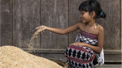 T'RUIH PAXUL T'NGAY 04/9/2017