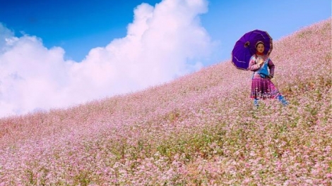 T'RUIH PAXUL T'NGAY 22/9/2017