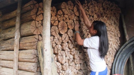 Video: Pa’nọ óih tr’bơơn tr’pay âng manứih Ve(BÓ CỦI KẾT HÔN CỦA NGƯỜI VE)