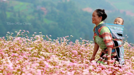 T'RUIH PAXUL T'NGAY 13/9/2017