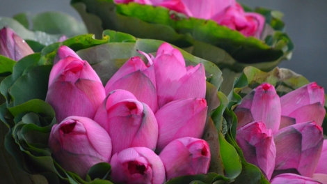 T'RUIH PAXUL T'NGAY 12/10/2017