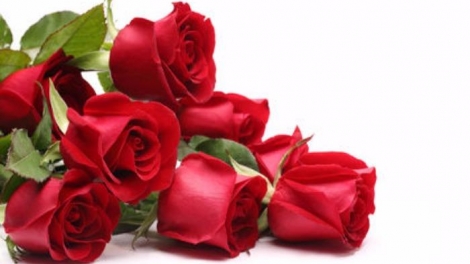 T'RUIH PAXUL T'NGAY 20/10/2017