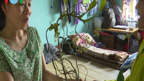 Video: HOA RỪNG TẶNG THẦY CÔ (Pô crâng cher đoọng ha thầy cô)