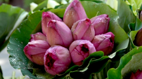 ĐỘC TẤU NHẠC CỤ CÁC DÂN TỘC