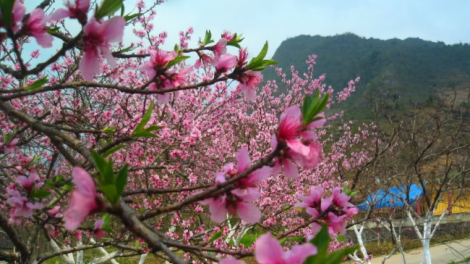 Bơr pêê rau cr’ay buôn lưm đhị p’niên k’tứi cóh cr’chăl x’rịa c’moo