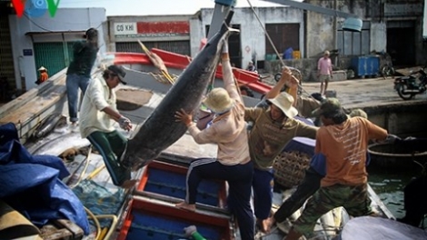 Bhrợ ta bhứah cơnh pa tệêt pa zưm bhrợ têng, pa câl a xiu ngừ ting cơnh t’nooi