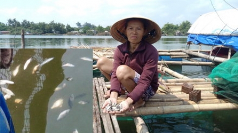 Quảng Nam: a’xiu cóh cr’loọng vêy ta băn ma chêết zêng cắh năl gít râu tu