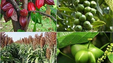 Bình Dương bhrợ têng bấc chính sách zư lêy t’nơơm chr’noh chr’nắp