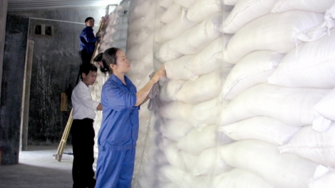 Zooi đoọng lấh 1.800 tấn ch’nêếh đoọng ha học sinh apêê tỉnh miền Trung