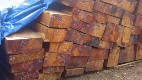 Phú Yên: Bơơn lêy k’noọ 125 mét n’loong vêy c’léh cắh liêm crêê