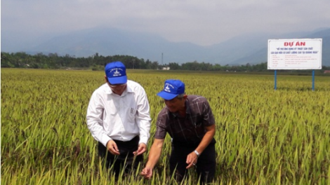 Quảng Ngãi chóh bhrợ ha roo, ch’néh bh’nơơn dal