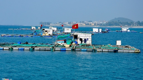Quảng Ngãi: Bh’rợ băn chóh thủy sản cóh đảo Lý Sơn