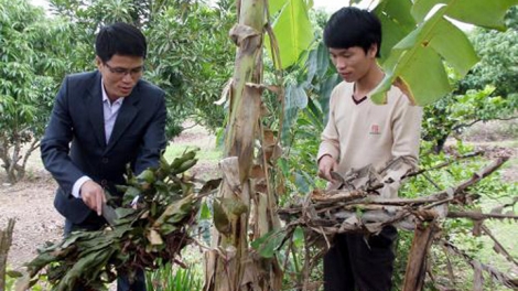 Đông Bắc : 70 ta đhâm c’mor vêy ta đoọng chô bhrợ Phó Chủ tịch chr’val cắh ơy ta đoọng bhrợ têng bh’rợ tr’nêng t’mêê