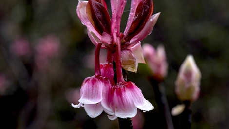 T'RUIH PHÁT THANH T'NGAY 14/02/2017