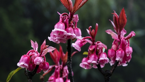 T'RUIH PHÁT THANH T'NGAY 19/02/2017