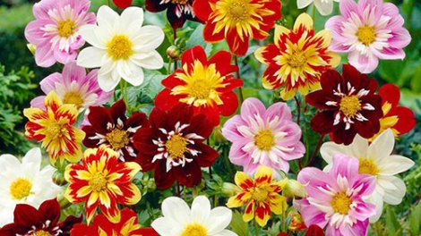 T'RUIH PA XUL T'NGAY 13/10/2017