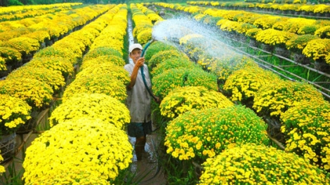 Đồng bằng sông Cửu Long: Pô cha năm Tết bấc ngai câl, chr’nắp dưr dzoóc dal