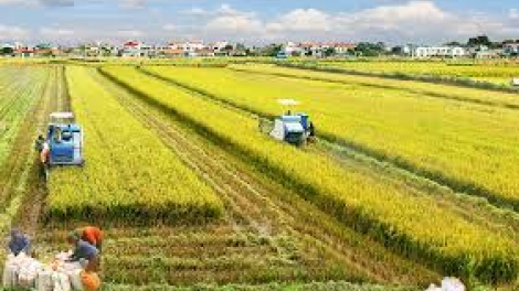 Festival quốc tế nông nghiệp zr’lụ Đồng bằng k’ruung Cửu Long nắc vêy ta bhrợ têng đhị Cần Thơ