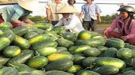 Gia Lai pa’cai váih bấc, pa’câl dal zên, đhanuôr bhui har