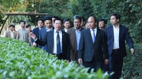 Thủ tướng Nguyễn Xuân Phúc bặt hương đhị Zr’lụ c’kir Kim Liên, Nghệ An