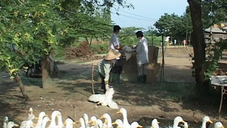 Bà Rịa - Vũng Tàu: Ra văng 2 ức liều vắc xin tiêm đoọng ha tứch a đha